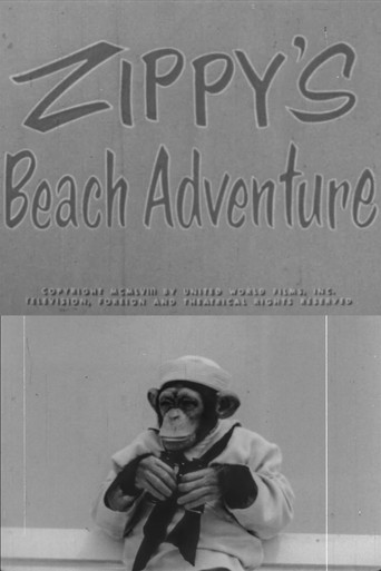 Zippy's Beach Adventure