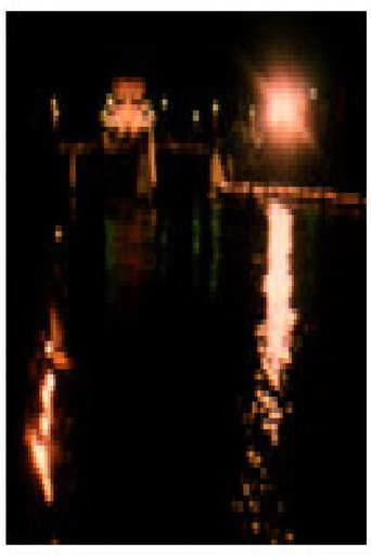 Bridges - Struga Poetry Evenings