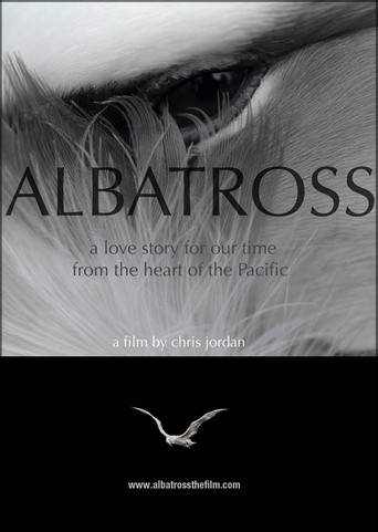 Albatross
