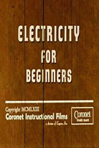 Electricity for Beginners