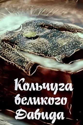 Big David's Chain Shirt