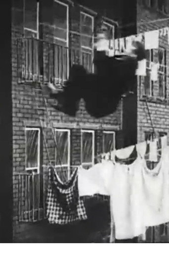 The Burglar's Slide for Life