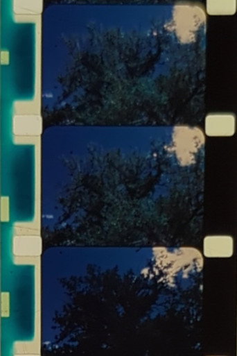 Englewood Cottonwood