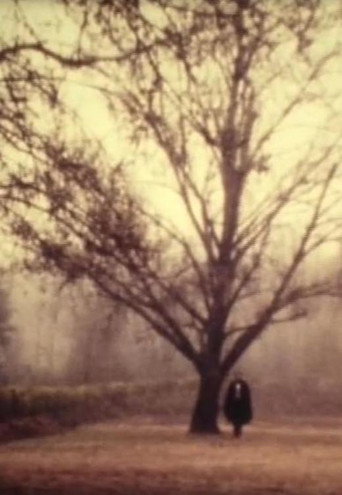 D. Jaime or the Portuguese Night