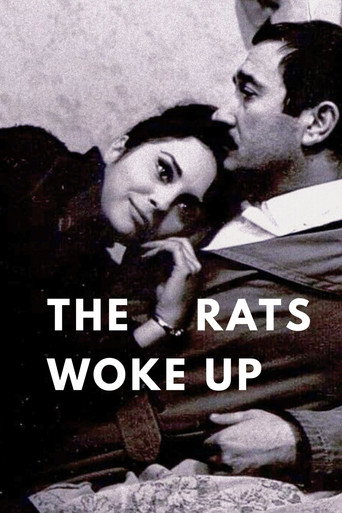 The Rats Woke Up