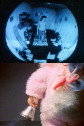 The Night Could Last Forever