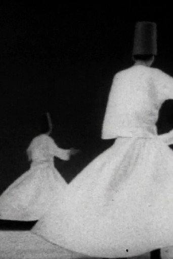 Mevlevi - Les Derviches tourneurs