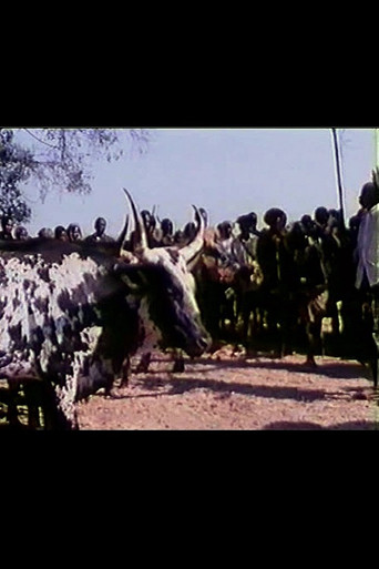 Feast of the Sacred Ox