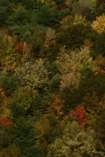 Color Study