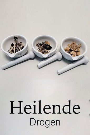 Drugs that Heal: Could Psychedelics Treat Depression?