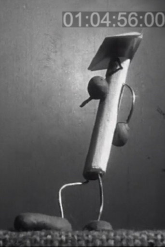 A walk through the modern Oberst factory