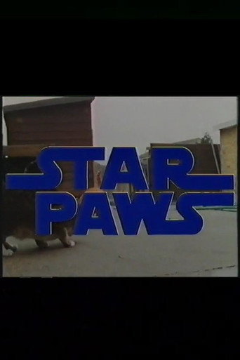 Star Paws
