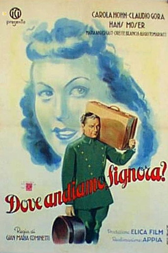 Dove andiamo, signora?