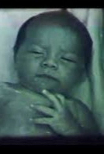 Harmonia dos Contrastes