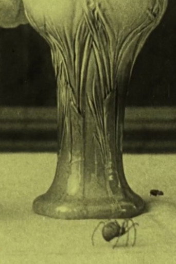 The Spider and the Fly