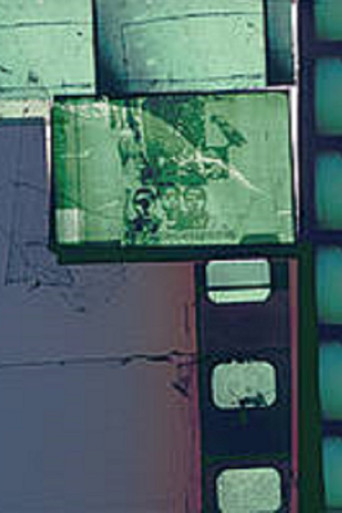 Und sie, sie liebte Raubtiere – tritt auch in den Garten