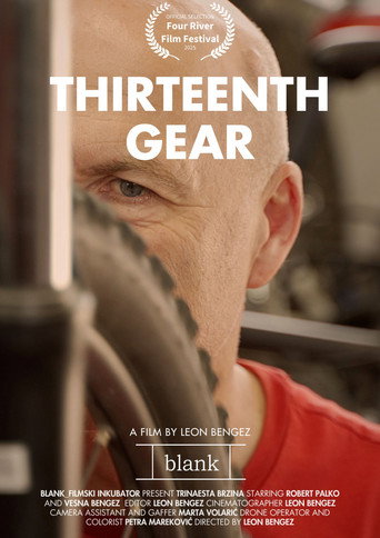 Thirteenth gear