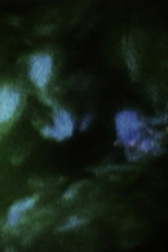 Field of Memories: Prelude