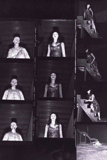 The Miraculous Mandarin