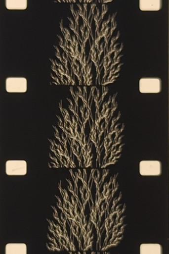 From the Family of Eggs