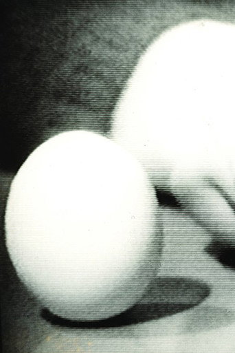 Statics of an Egg