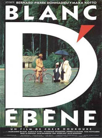 Blanc d'รฉbรจne