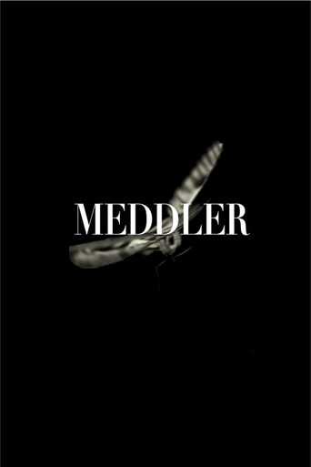 Meddler