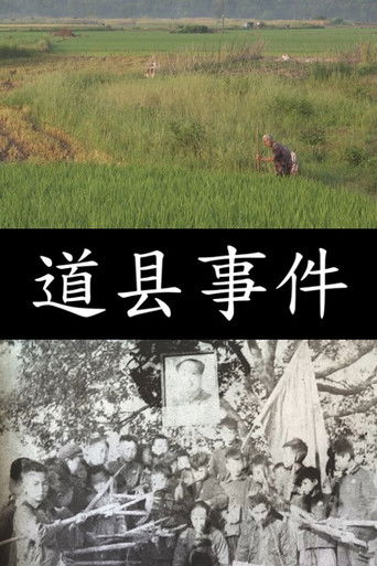 The Daoxian Incident