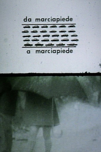 Attraversamenti: Da Marciapiede A Marciapiede