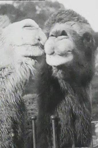 Our Advice This Festive Season