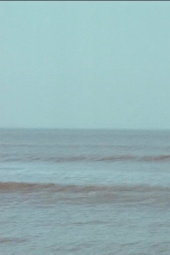 Vibrating Horizon