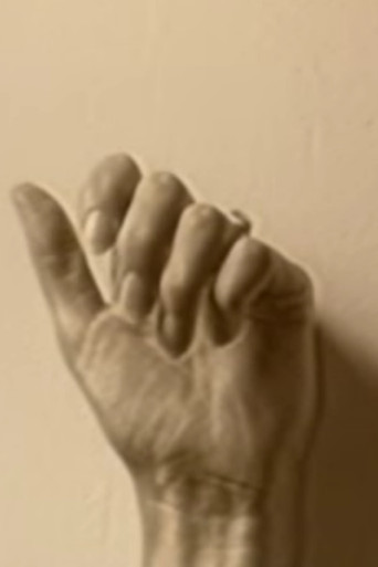 Introduction to Summer