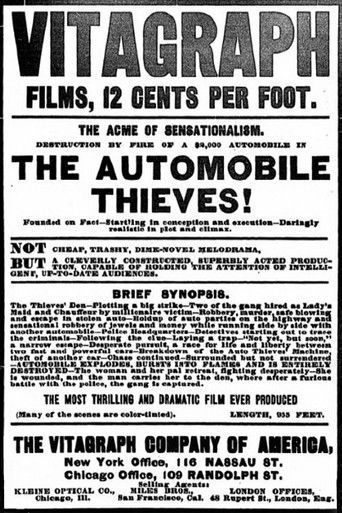 The Automobile Thieves