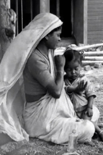 A Day with the Builders