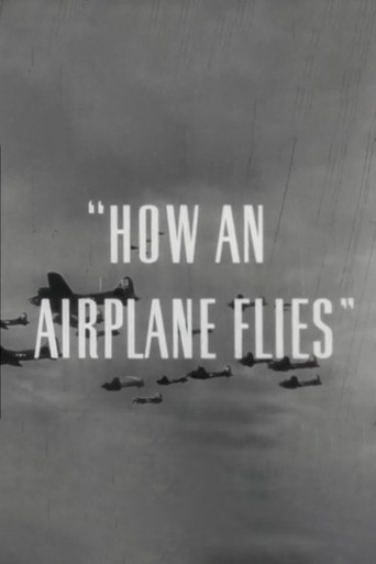 How An Airplane Flies