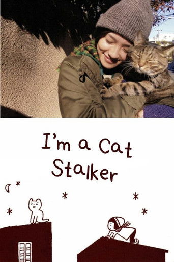 Iβm a Cat Stalker