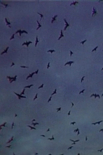 Встреча на острове