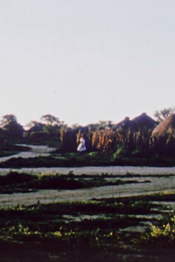 South Africa - The Land of Smiles and Sunshine