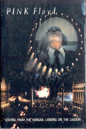 Leaving from the Hangar, Landing on the lagoon