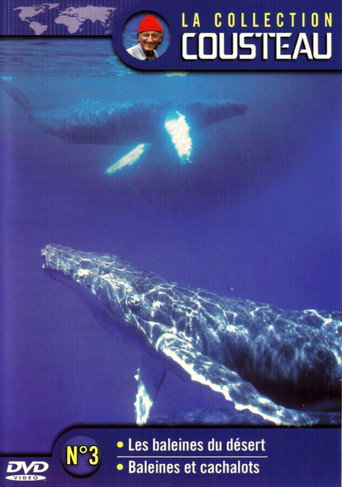The Cousteau Collection NΒ°3-1 | Desert Whales