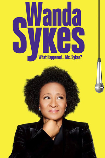 Wanda Sykes: What Happened⦠Ms. Sykes?