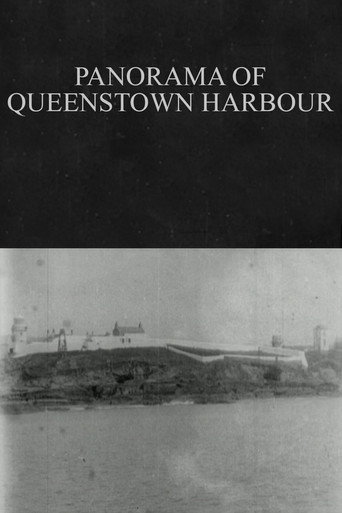 Panorama of Queenstown Harbour