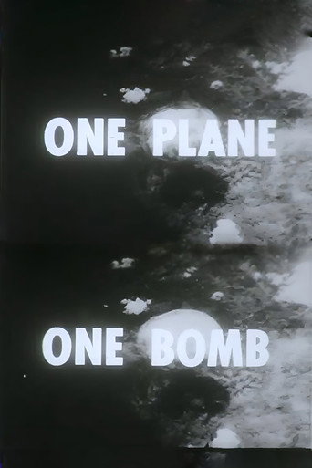 One Plane, One Bomb