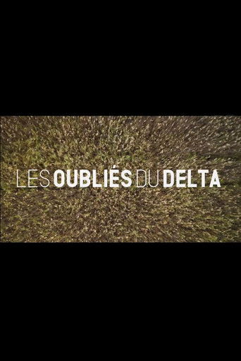 Les oubliΓ©s du Delta