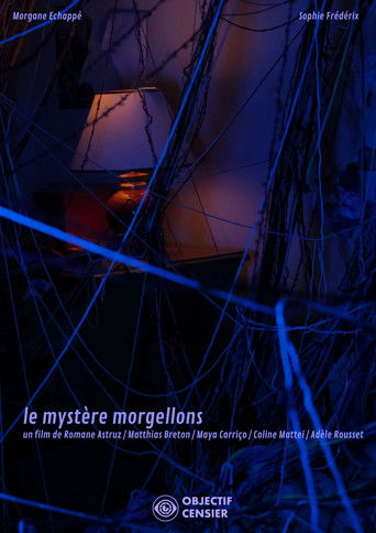The Mystery of Morgellons