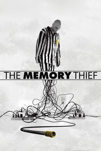 The Memory Thief