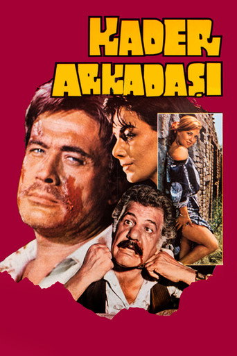Kader ArkadaΕΔ±