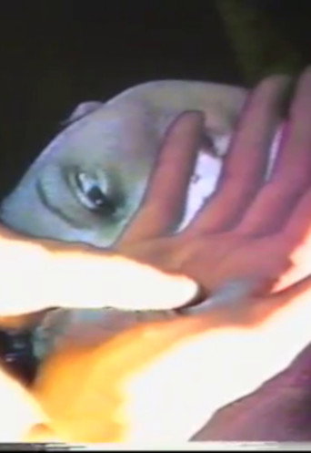 Eleven - Understanding Is Like Heat