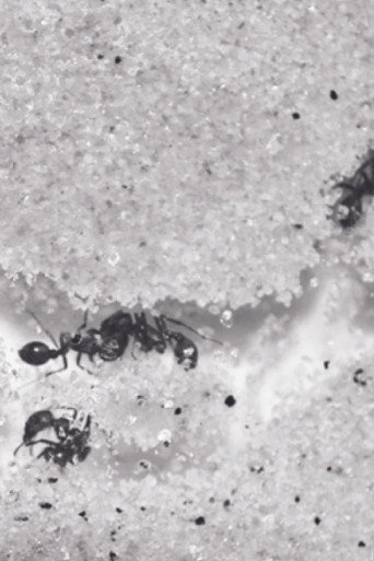 Who Shall Remain Nameless