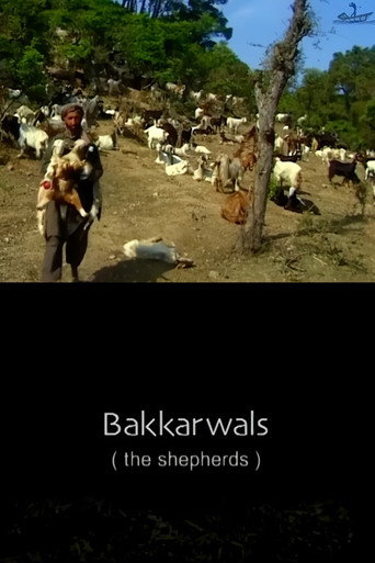 the shepherds